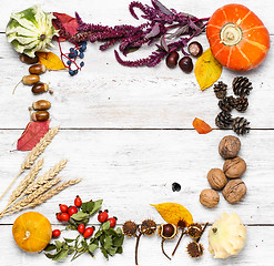 Image showing Autumn still life harvest