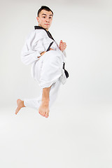 Image showing The karate man with black belt