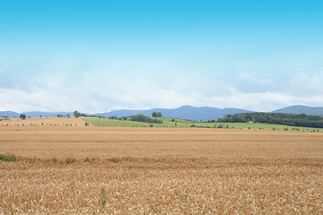 Image showing czech country