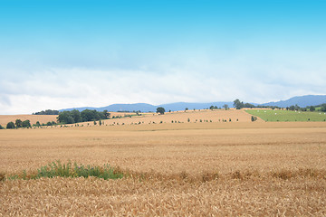 Image showing czech country