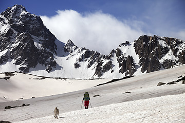 Image showing Hiker with dog at spring snow mountains