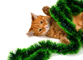 Image showing Red-headed kitten lying on its side in Christmas ornaments