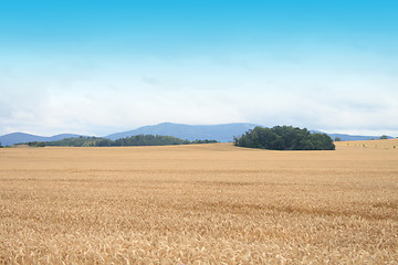 Image showing czech country