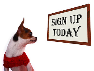 Image showing Sign Up Today Sign Showing Registration For Dog Website