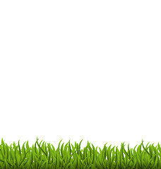 Image showing Spring background with green grass, space for your text