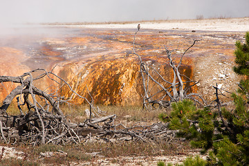 Image showing Yellowstone National Park, Utah, USA