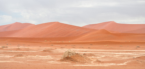 Image showing desert landscape