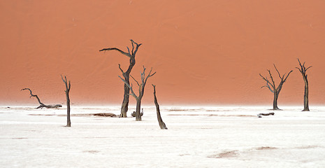 Image showing Sossusvlei, Namibia