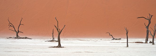 Image showing Sossusvlei, Namibia