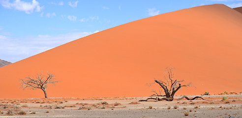 Image showing sand dunes