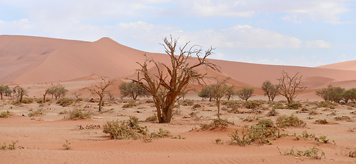 Image showing desert landscape