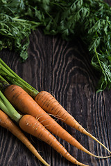Image showing Freshly grown carrots