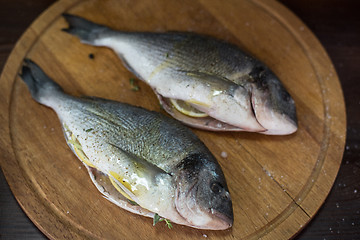 Image showing Fresh uncooked dorado