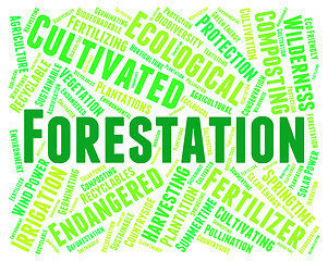 Image showing Forestation Word Means Park Woodland And Trees