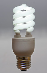 Image showing Fluorescent bulb