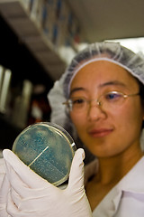 Image showing Female scientist picking colonies