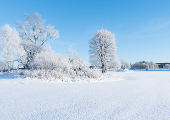 Image showing Wintry landscape