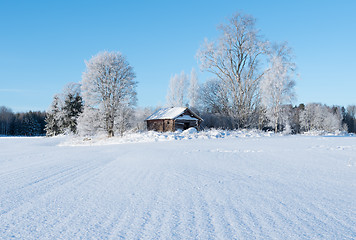 Image showing Wintry landscape