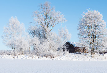 Image showing Wintry landscape