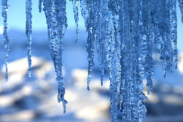 Image showing Icicles in cold winter evening