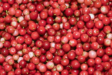 Image showing Heap of cowberry