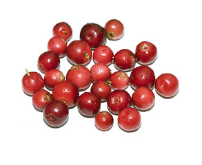 Image showing Heap of cranberry