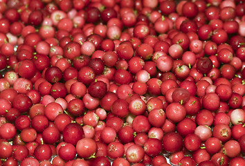 Image showing Heap of cowberry