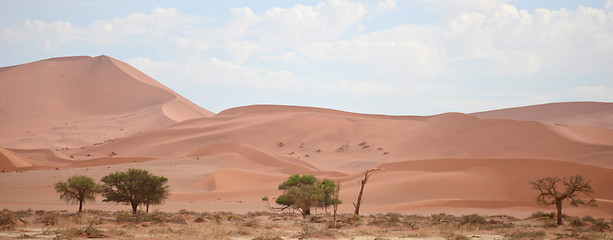 Image showing Namib landscape