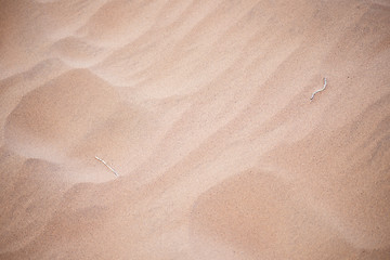 Image showing sand background