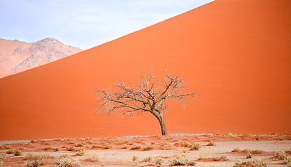 Image showing desert landscape