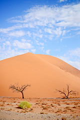 Image showing sand dune