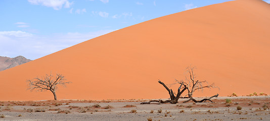 Image showing desert landscape