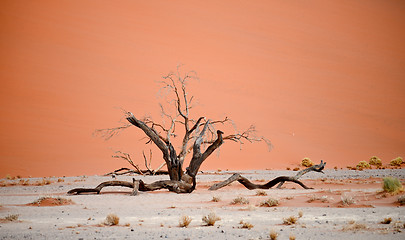 Image showing desert landscape