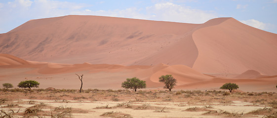 Image showing sand dunes