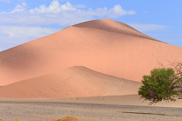 Image showing sand dunes