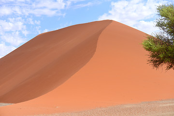 Image showing sand dune