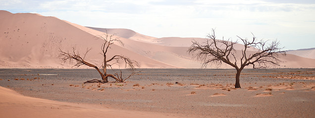 Image showing sand dunes