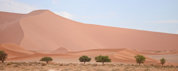 Image showing Namib landscape