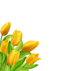 Image showing Natural Bouquet with Yellow Tulips Flowers Isolated 