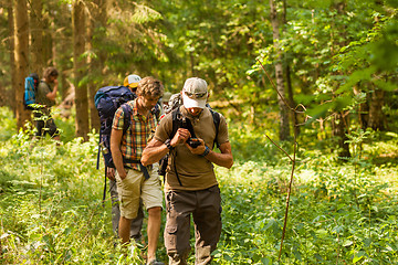 Image showing Walking through forest