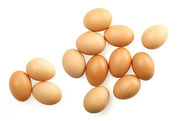 Image showing eggs isolated on white