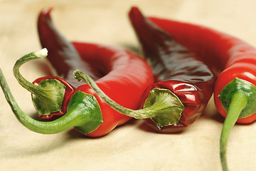 Image showing Red peppers