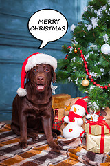 Image showing The black labrador retriever sitting with gifts on Christmas decorations background