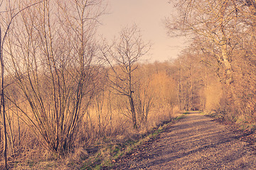 Image showing Nature trail in the autumn