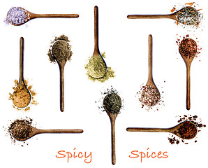 Image showing Collection of Spices with Inscription