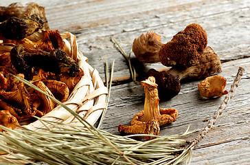 Image showing Arrangement of Dried Mushrooms