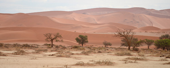 Image showing Namib landscape