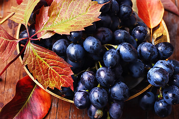 Image showing Autumn juicy grapes