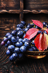 Image showing Autumn juicy grapes