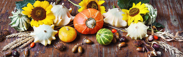 Image showing Still life with pumpkins and sunflowers